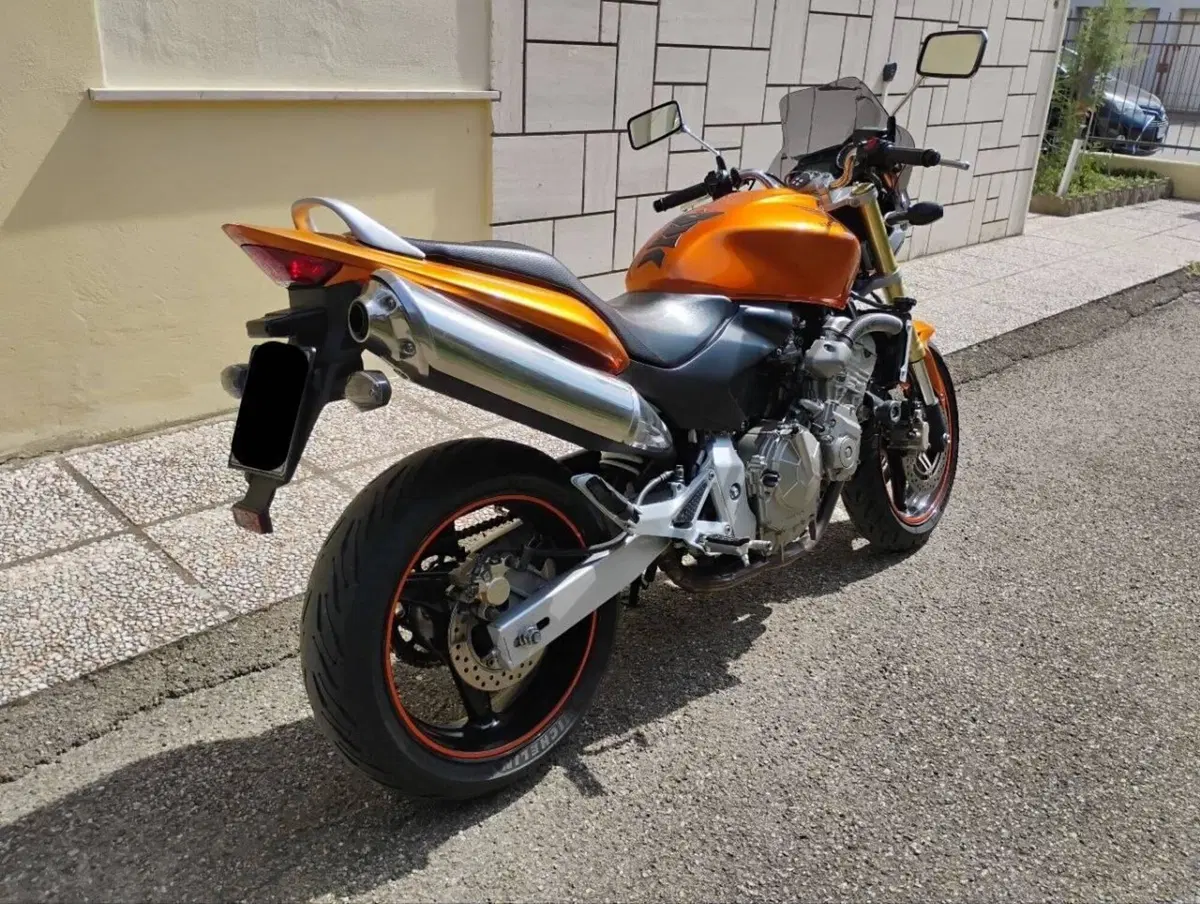 Honda Hornet 600 (2005 - 06) (3)