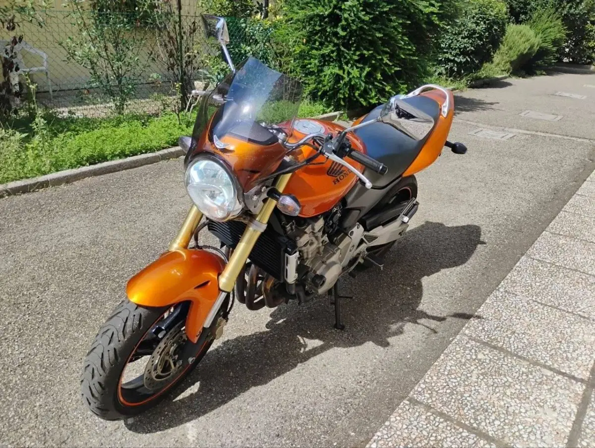 Honda Hornet 600 (2005 - 06) (4)