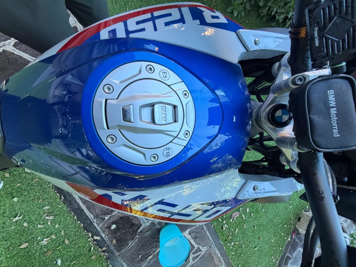 Bmw R 1250 GS (2019 - 20) (8)