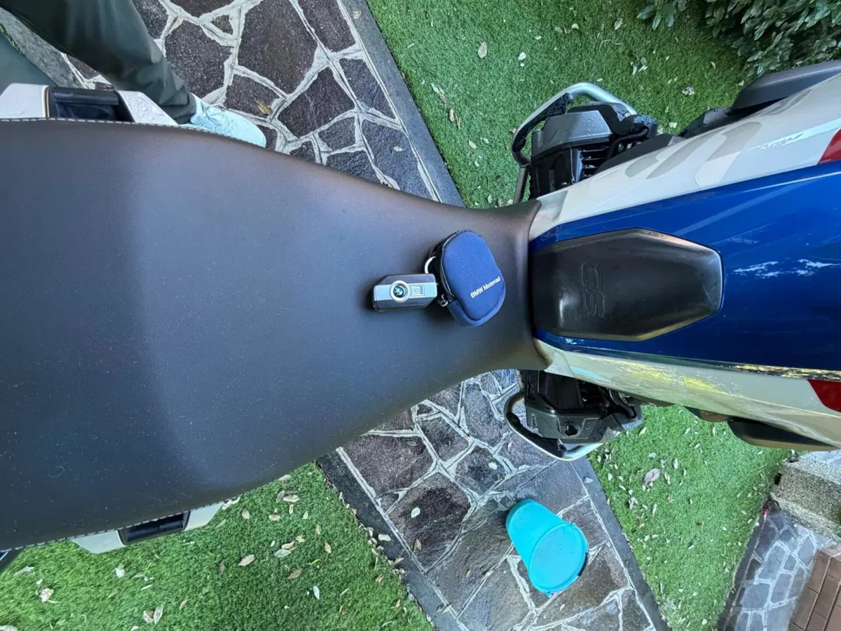 Bmw R 1250 GS (2019 - 20) (9)