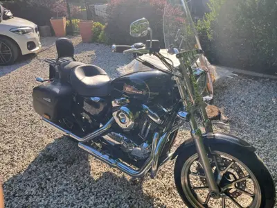 Harley-Davidson 1200 SuperLow (2014 - 16) - XL 1200T usata