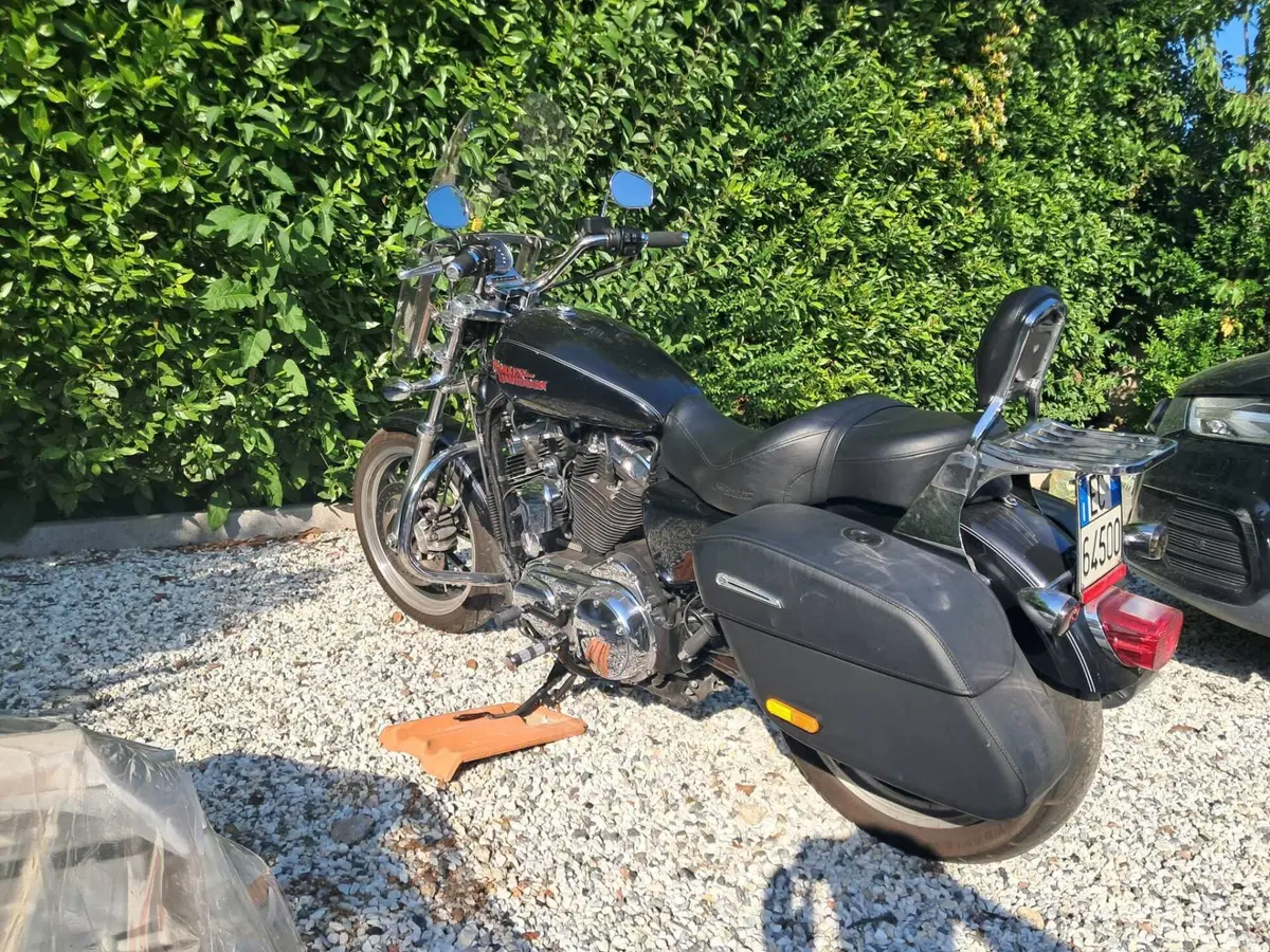 Harley-Davidson 1200 SuperLow (2014 - 16) - XL 1200T (2)