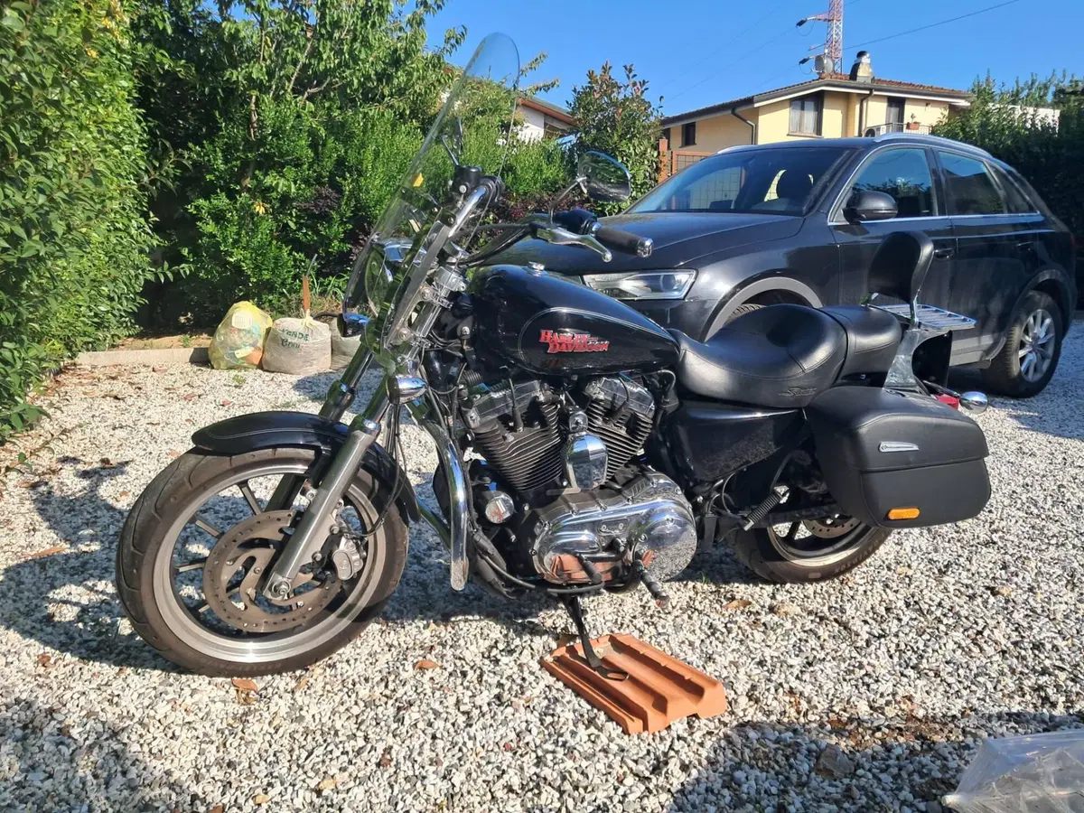 Harley-Davidson 1200 SuperLow (2014 - 16) - XL 1200T (4)
