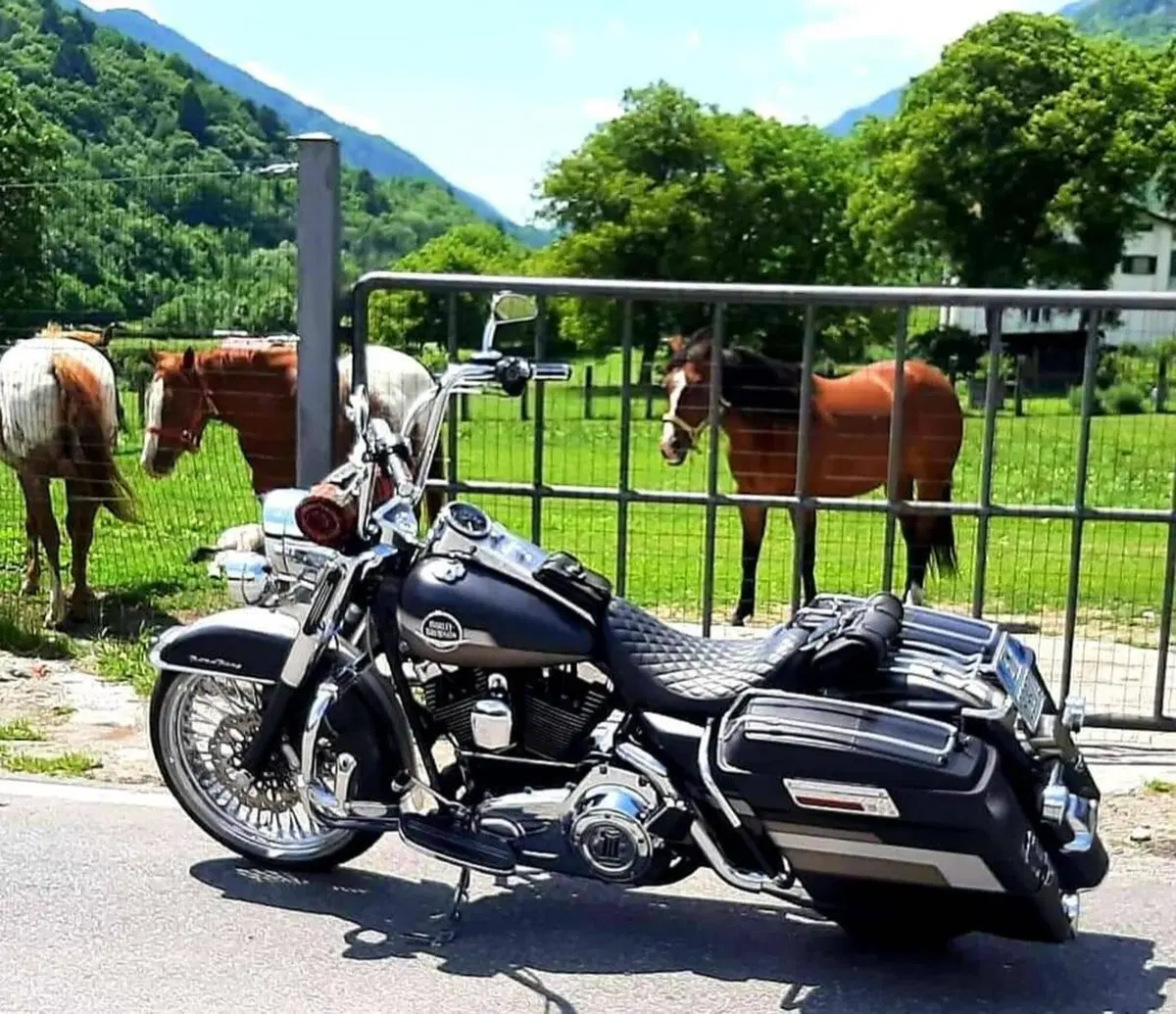 Harley-Davidson 1584 Road King (2006 - 07) - FLHR (2)