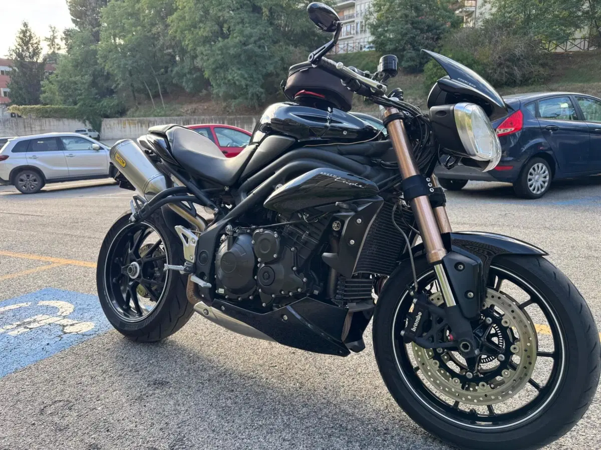 Triumph Speed Triple 1050 R ABS (2011 - 15) (2)