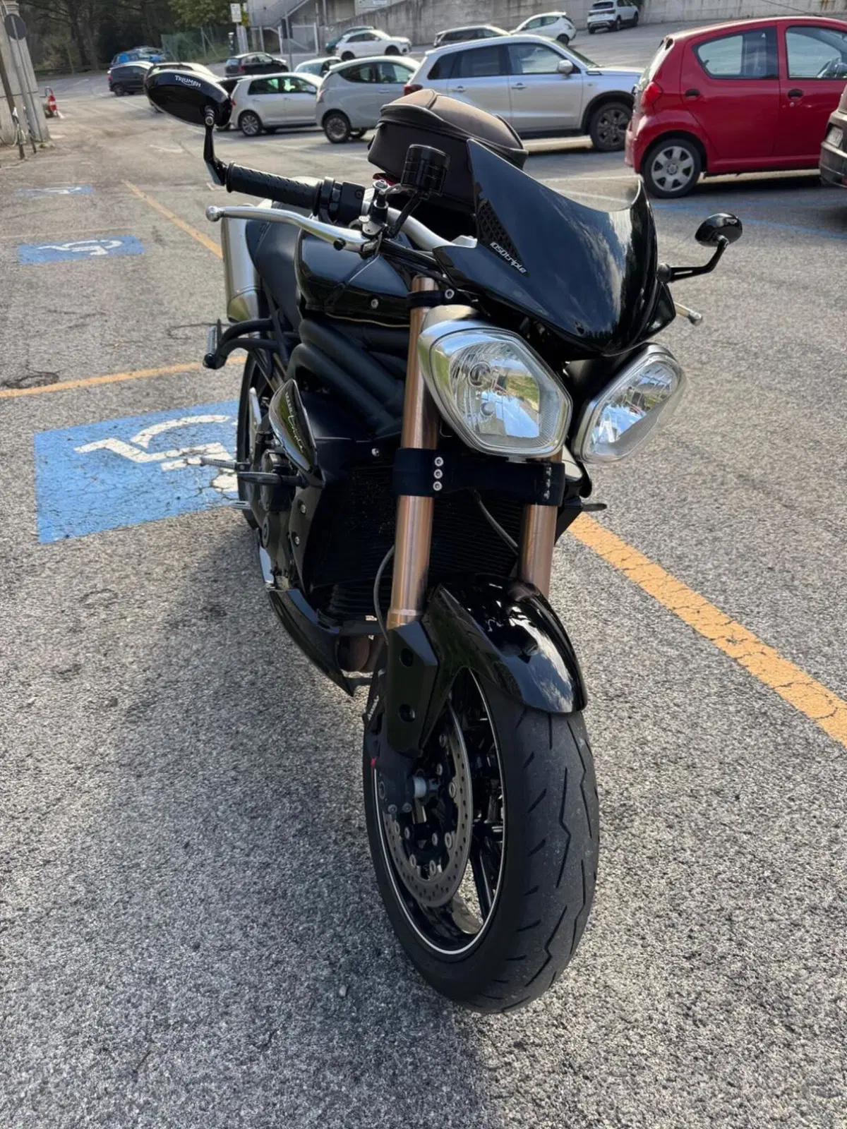 Triumph Speed Triple 1050 R ABS (2011 - 15) (4)