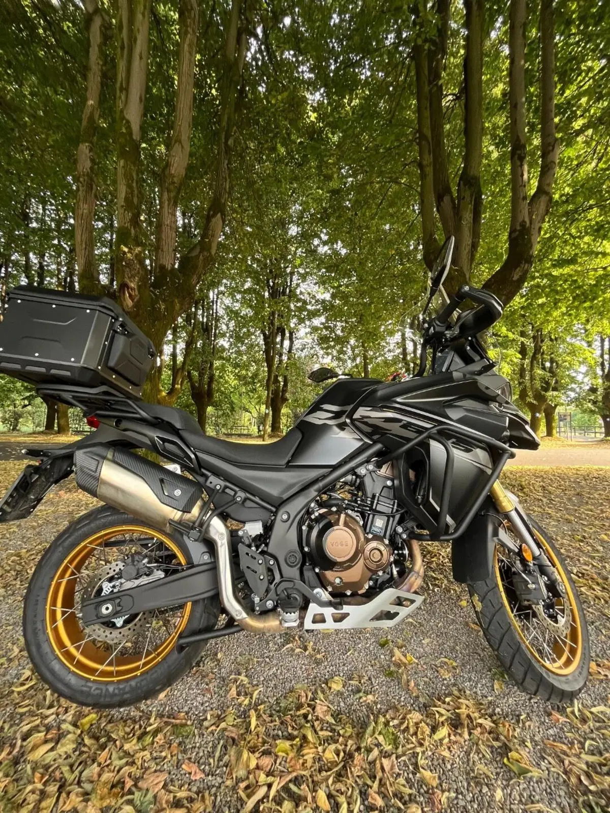 Voge Valico 625DSX (2025 - 26)