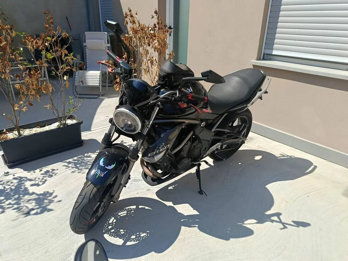 Kawasaki ER-6N (2009 - 11)