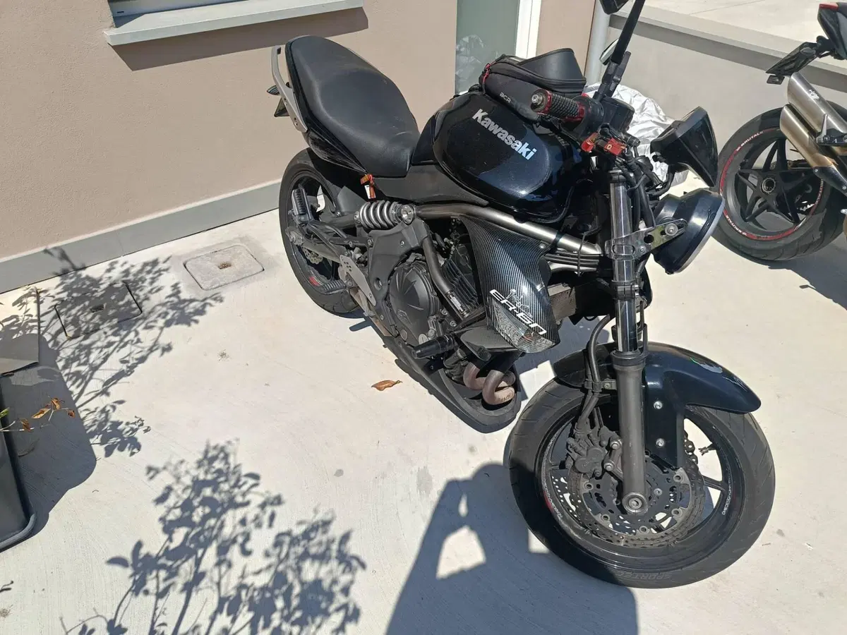 Kawasaki ER-6N (2009 - 11) (2)