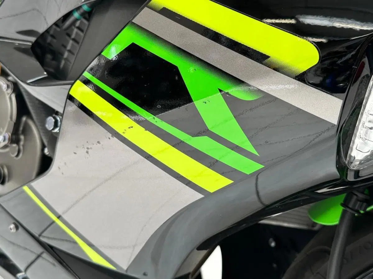 Kawasaki Ninja 636 ZX-6R KRT (2019 - 20) (6)