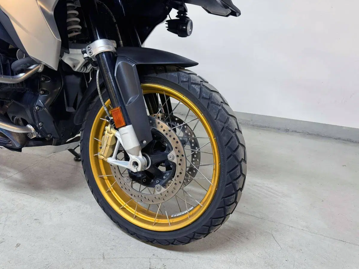 Bmw R 1250 GS (2019 - 20) (11)