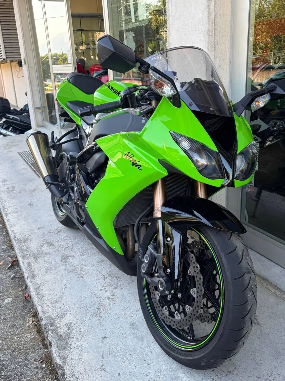 Kawasaki Ninja 1000 ZX-10R (2008 - 09) (4)