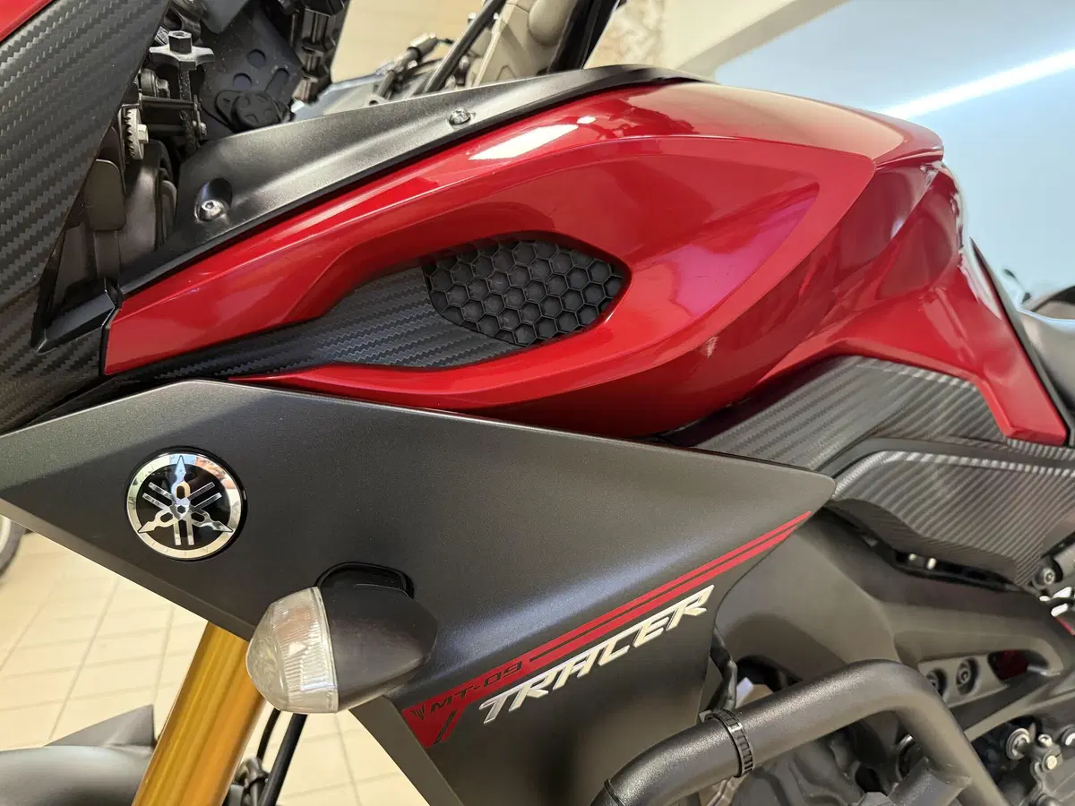 Yamaha Tracer 900 ABS (2015 - 16) (6)