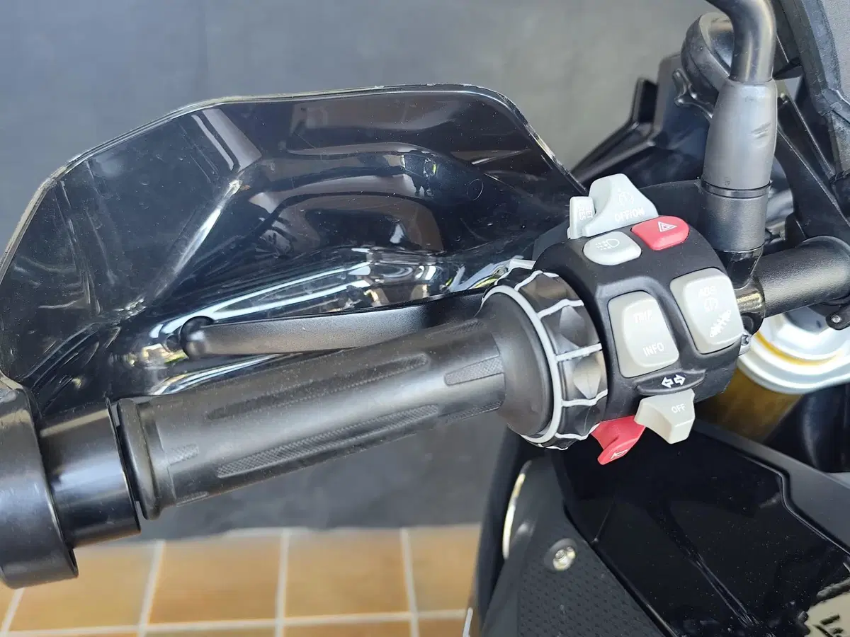 Bmw S 1000 XR (2017 - 19) (15)