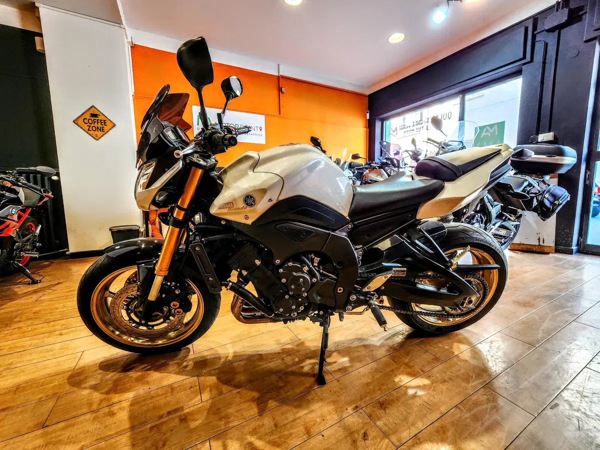 Yamaha FZ8 (2010 - 12) (2)