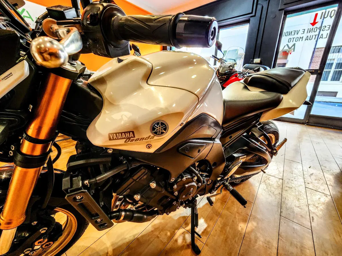 Yamaha FZ8 (2010 - 12) (13)