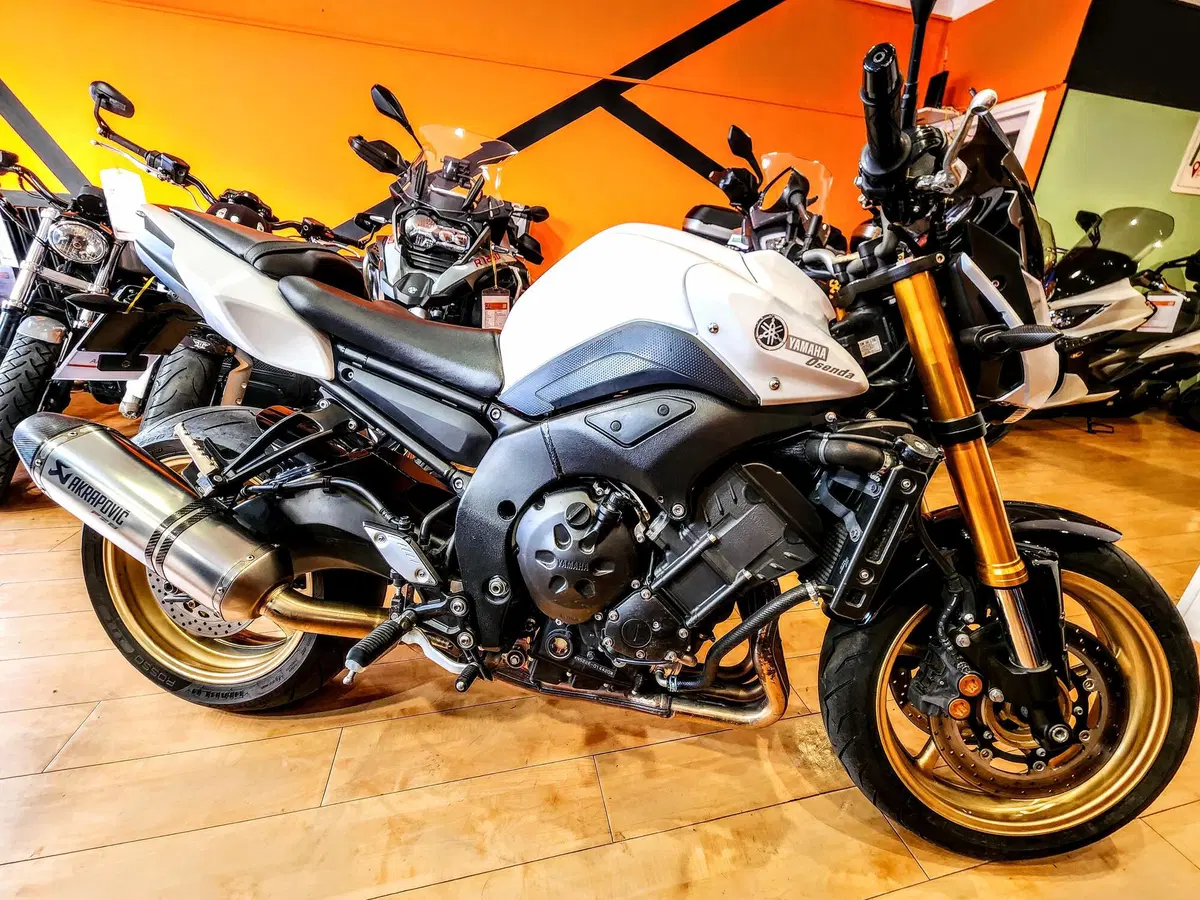 Yamaha FZ8 (2010 - 12) (16)