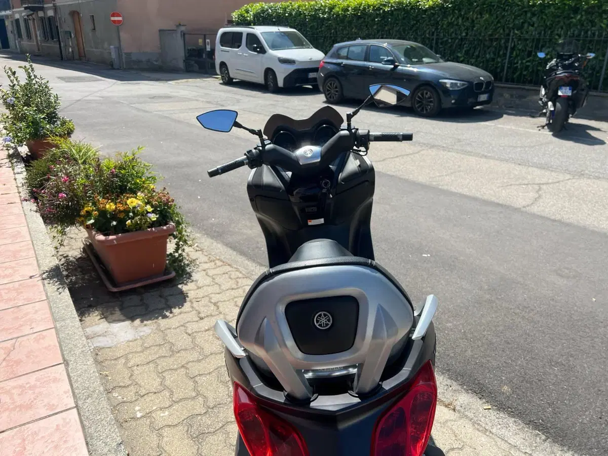 Yamaha X-Max 250 (2010 - 13) (4)
