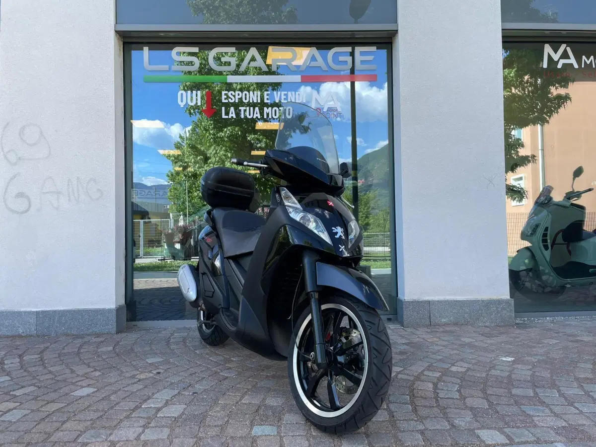 Peugeot Geopolis 250 (3)