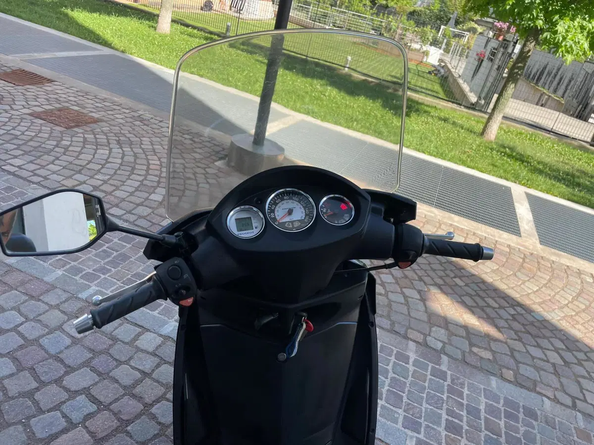 Peugeot Geopolis 250 (10)