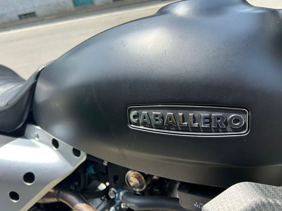 Fantic Motor Caballero 125 Scrambler (2021 - 23) (4)
