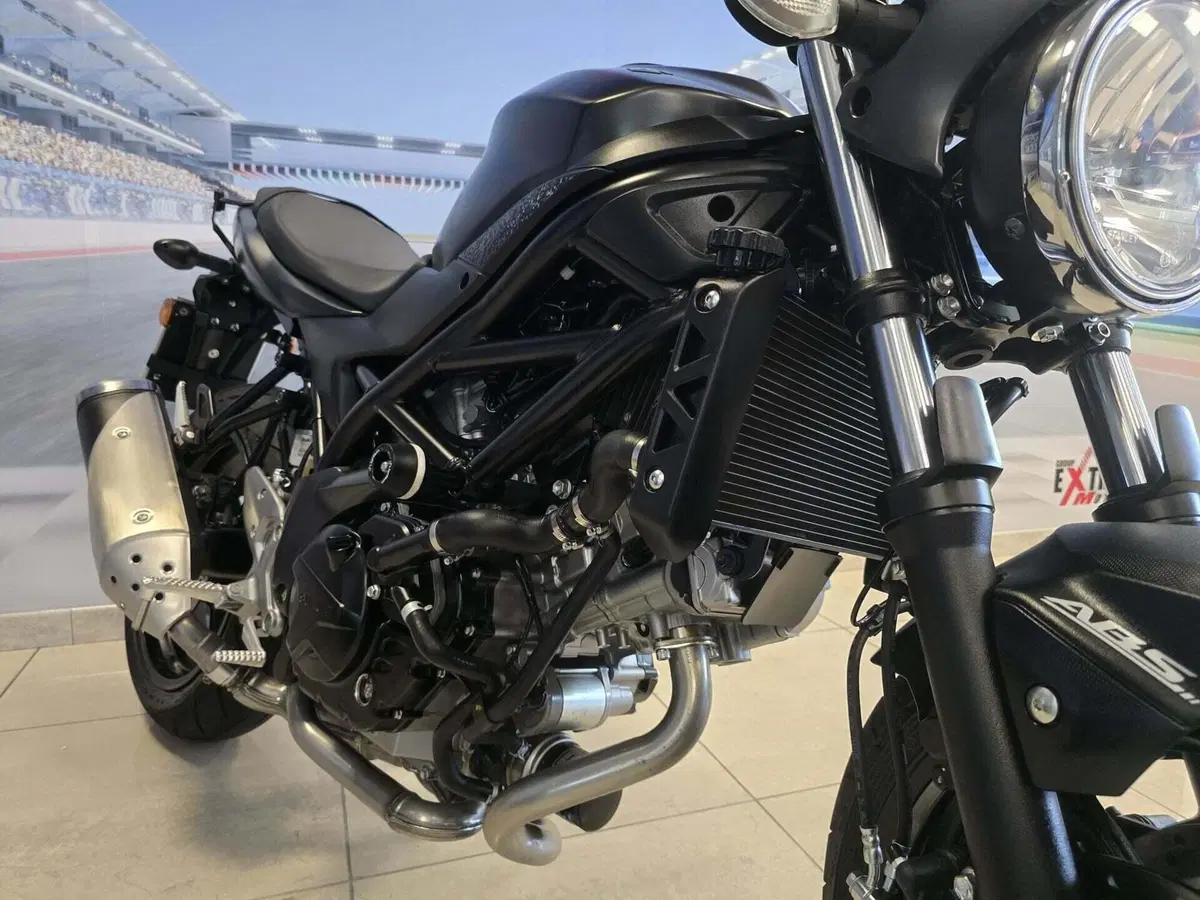 Suzuki SV 650 (2016 - 20) (11)