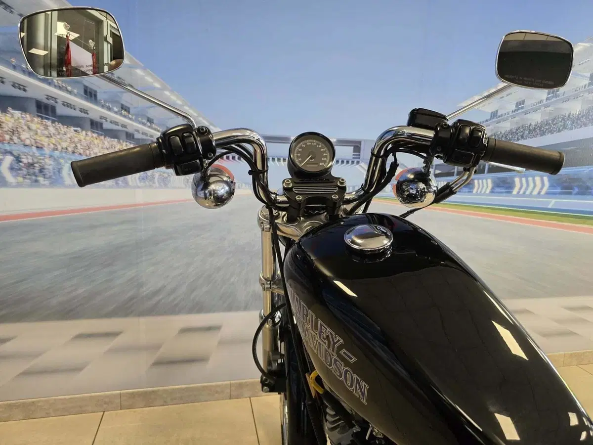 Harley-Davidson 883 Standard (1994 - 00) - XLH (13)