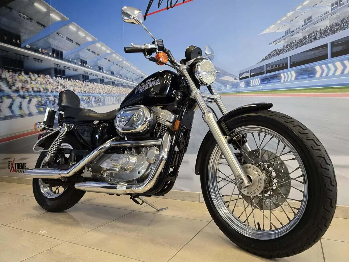 Harley-Davidson 883 Standard (1994 - 00) - XLH (16)