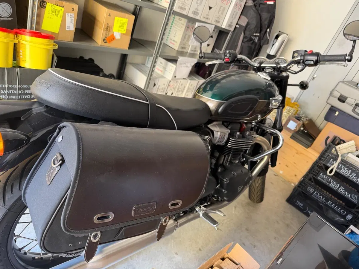Triumph Bonneville T100 (2021 - 25) (3)