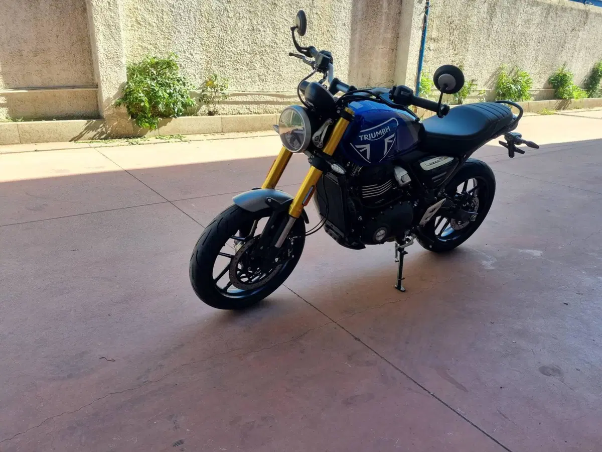 Triumph Speed 400 (2024 - 26) (5)