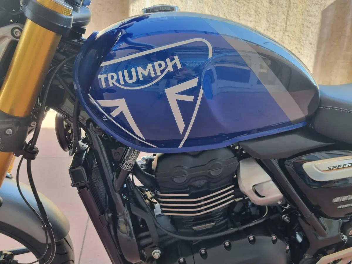 Triumph Speed 400 (2024 - 26) (8)