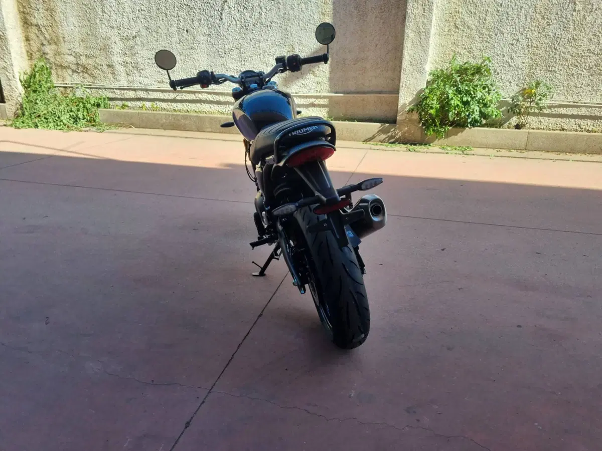 Triumph Speed 400 (2024 - 26) (10)