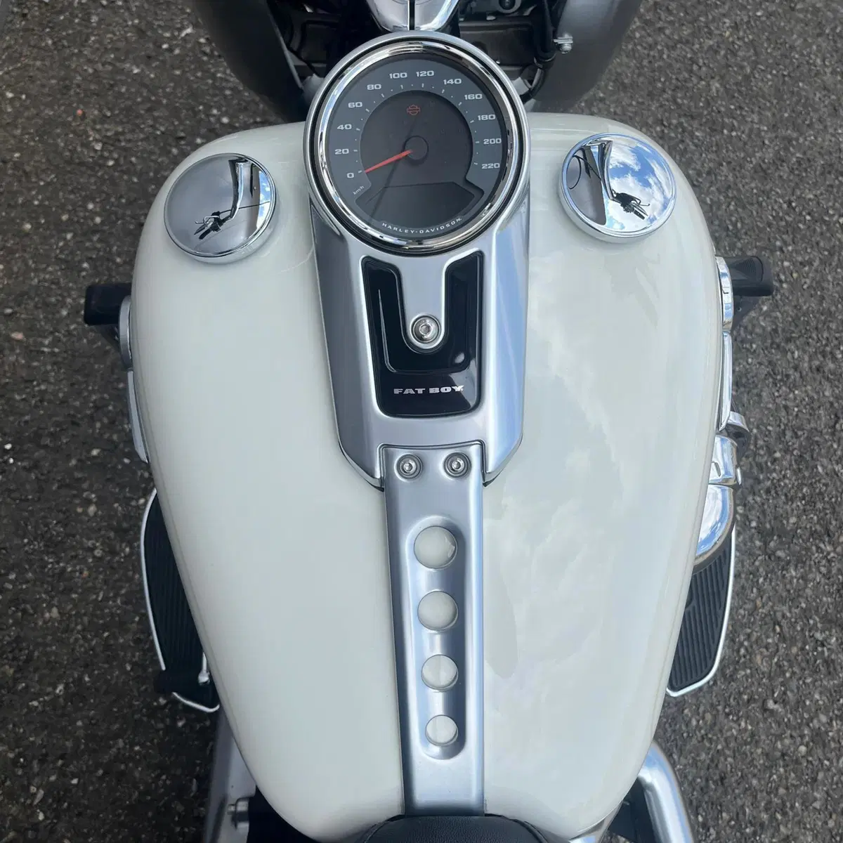 Harley-Davidson 114 Fat Boy (2018 - 20) - FLFBS (9)