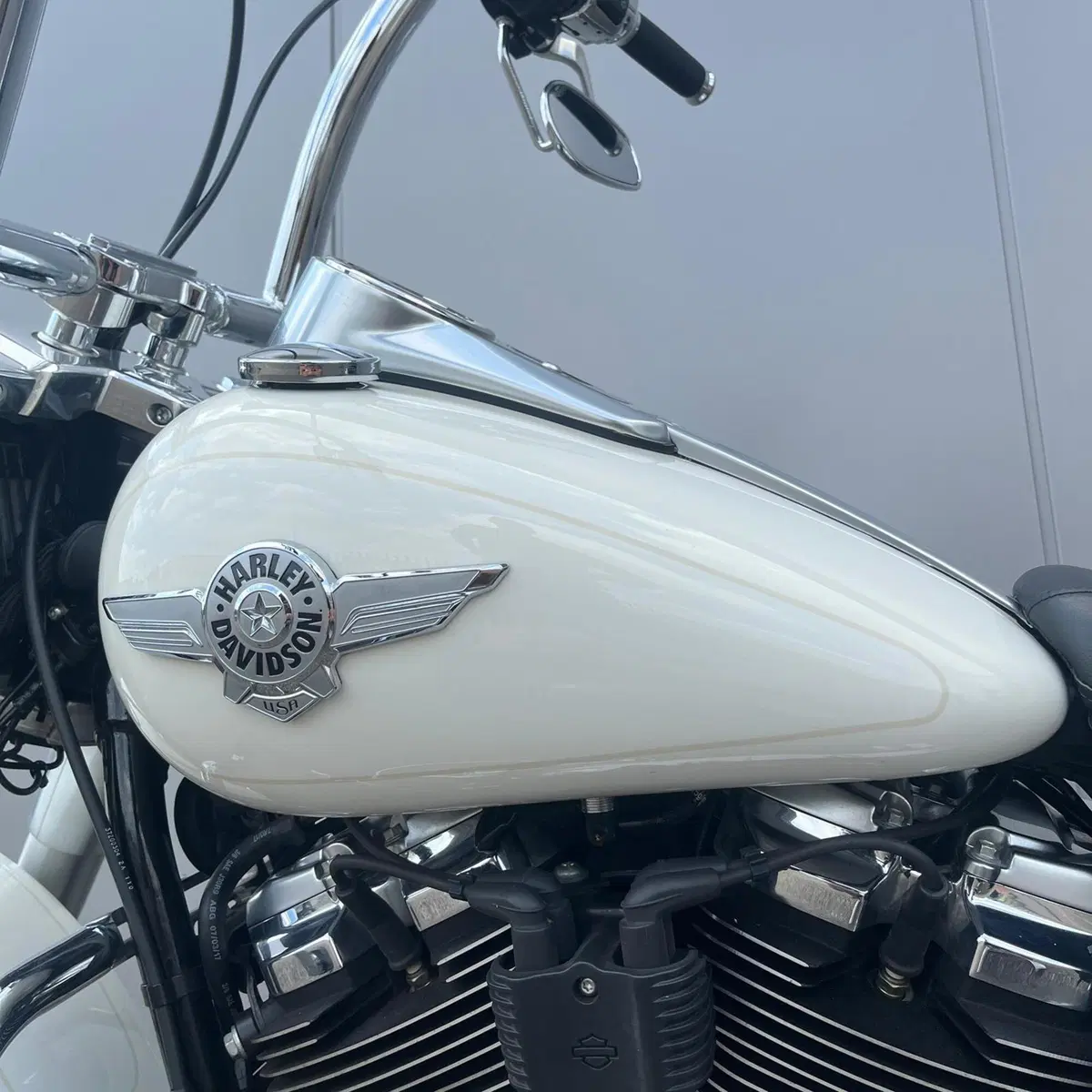 Harley-Davidson 114 Fat Boy (2018 - 20) - FLFBS (18)