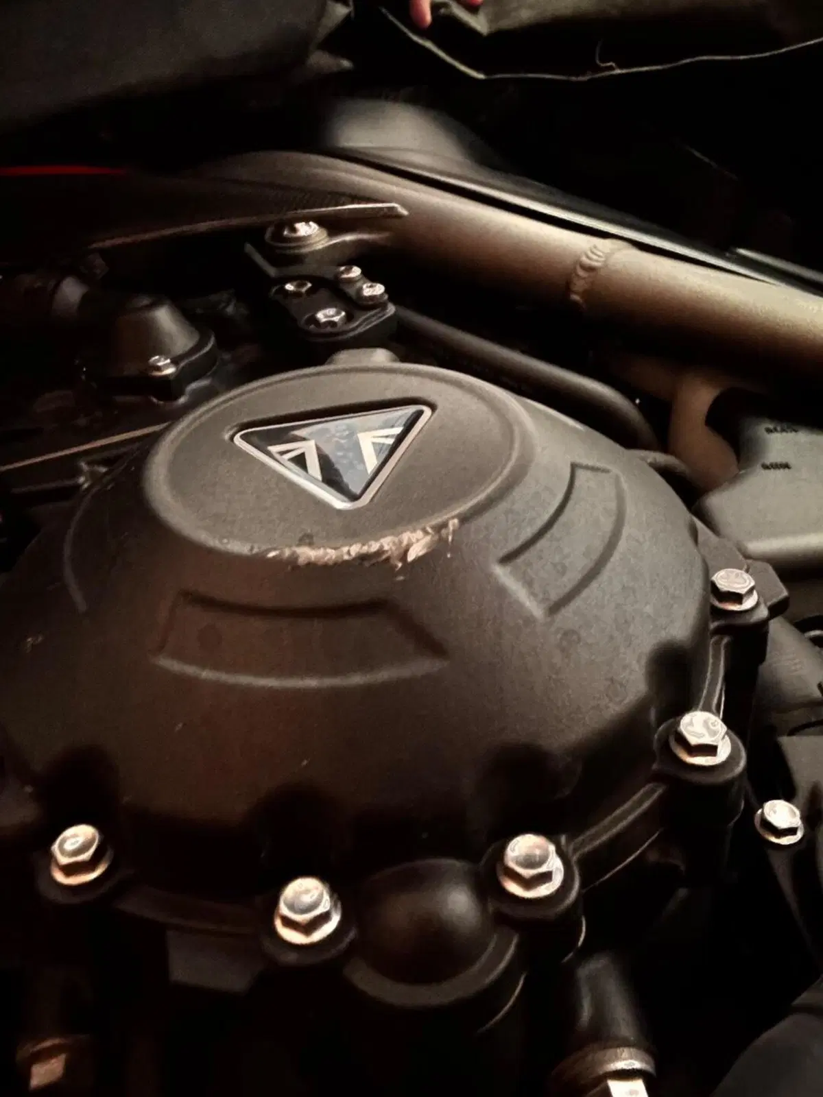 Triumph Speed Triple 1050 RS (2018 - 20) (7)