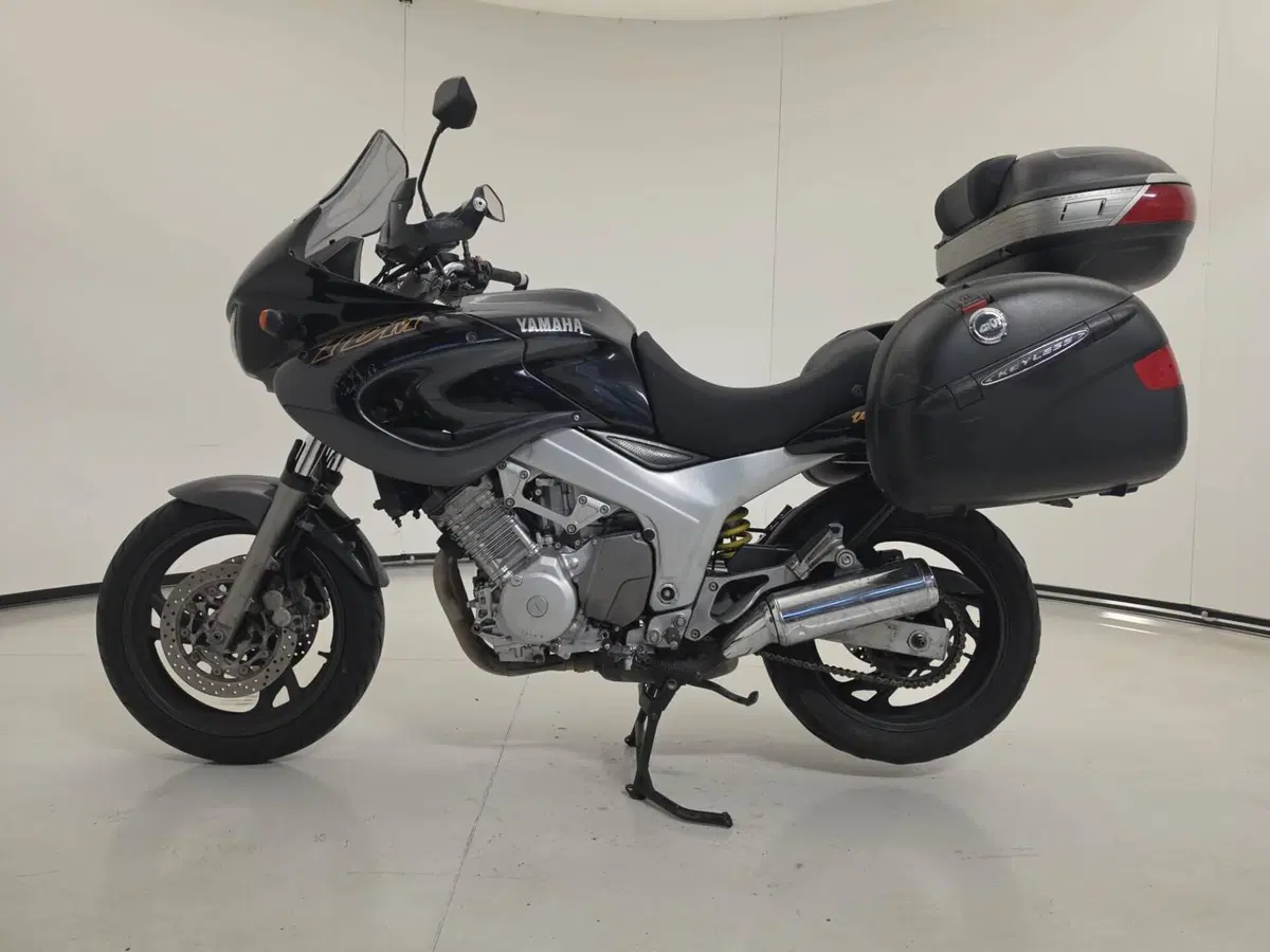 Yamaha TDM 850 (1996 - 01) (14)
