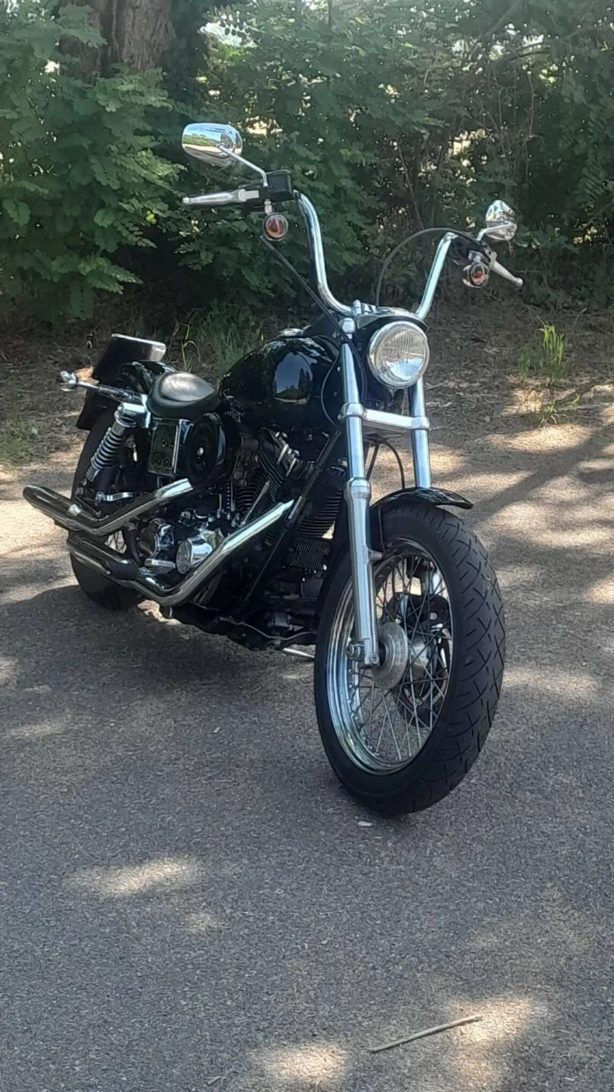 Harley-Davidson 1450 Low Rider (2002 - 05) - FXDLI