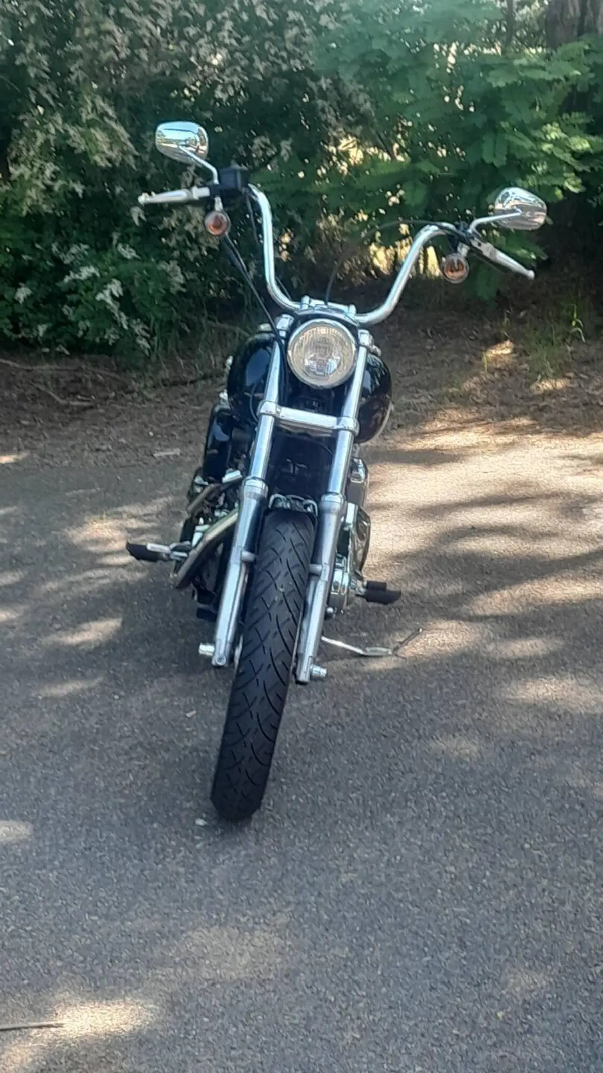 Harley-Davidson 1450 Low Rider (2002 - 05) - FXDLI (2)