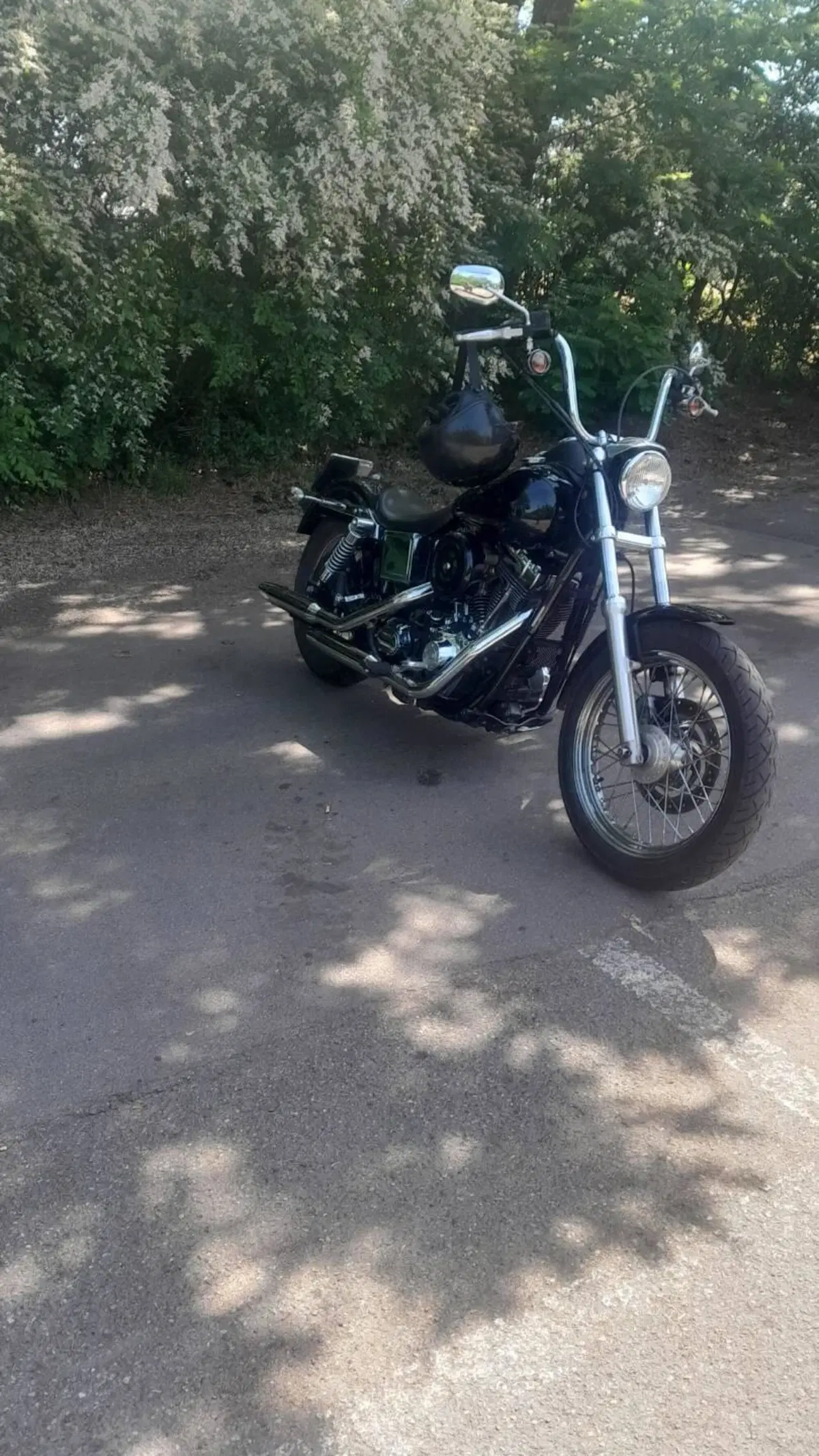 Harley-Davidson 1450 Low Rider (2002 - 05) - FXDLI (6)