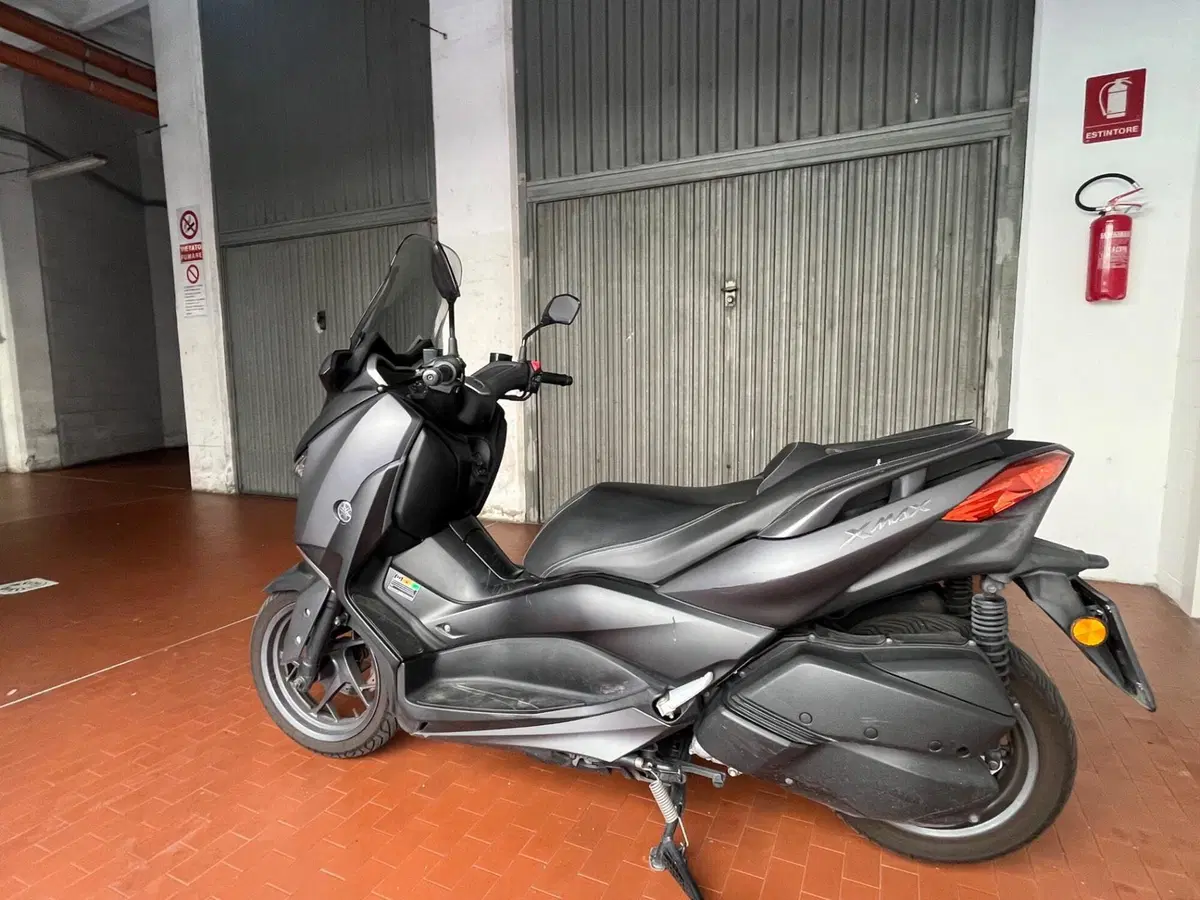Yamaha X-Max 300 ABS (2017 - 20) (2)