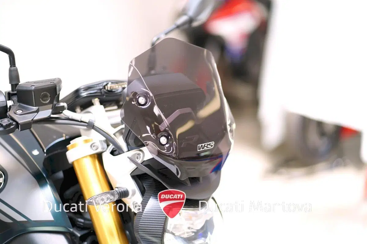 Bmw R 1250 R (2019 - 20) (10)