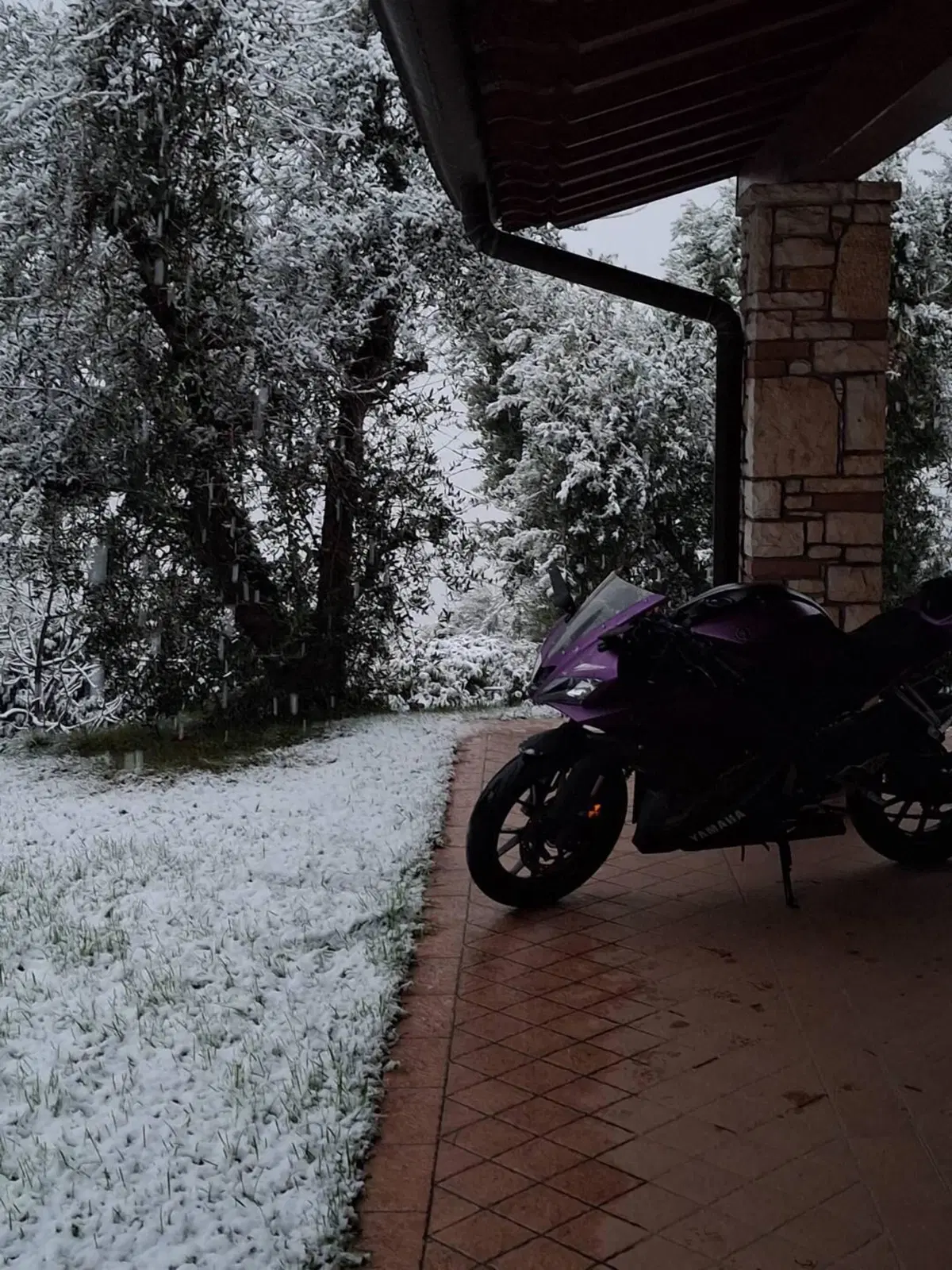 Yamaha YZF R125 (2017 - 18) (5)