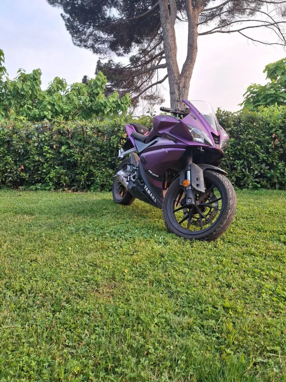 Yamaha YZF R125 (2017 - 18) (8)