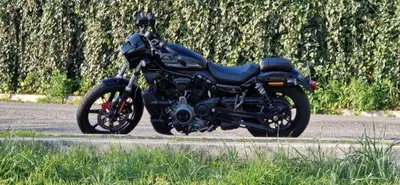Harley-Davidson Nightster Special (2023 - 26) usata