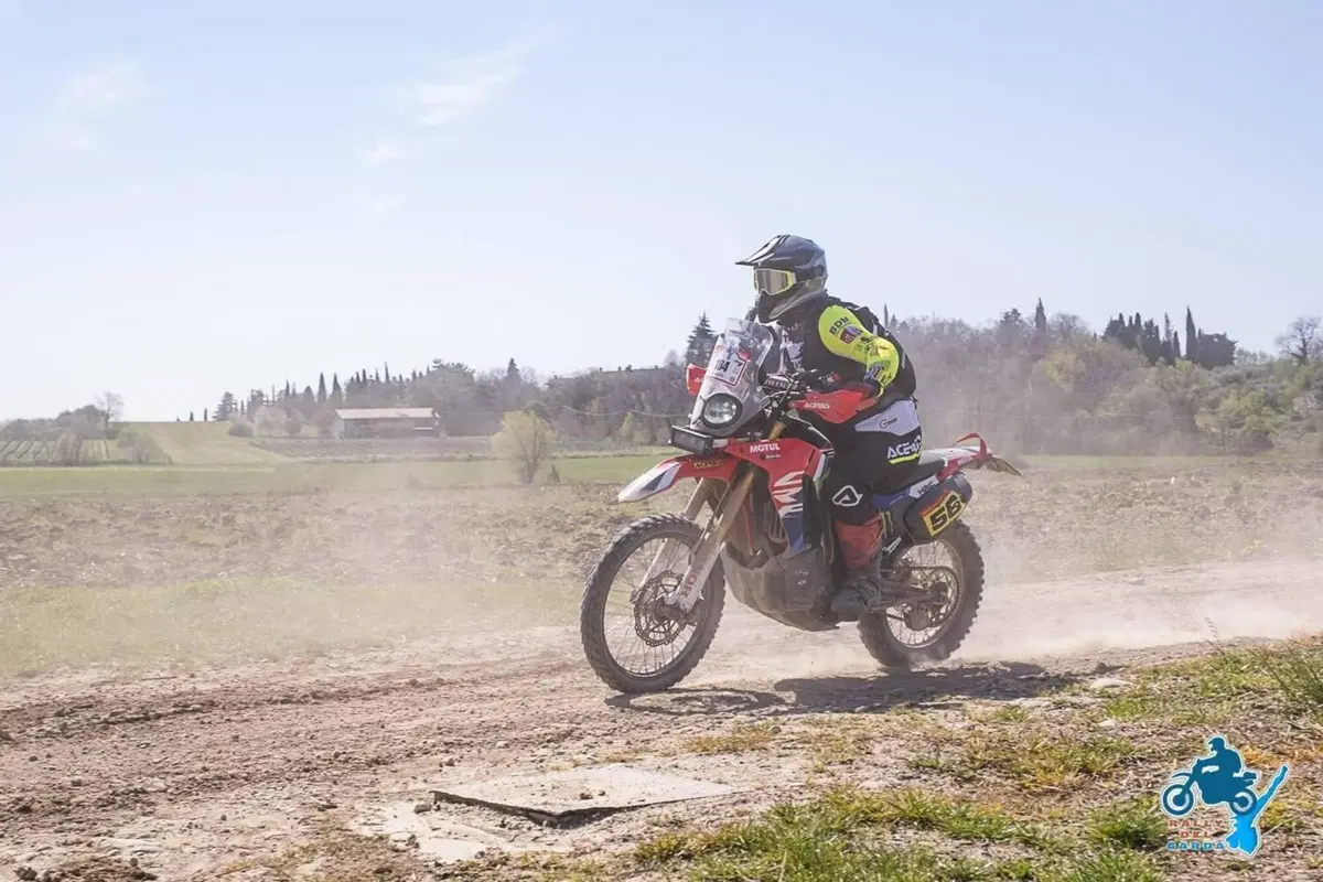 Honda CRF 250 Rally (2017 - 20) (2)