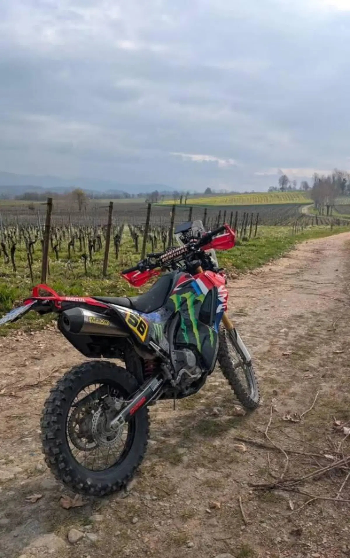 Honda CRF 250 Rally (2017 - 20) (3)