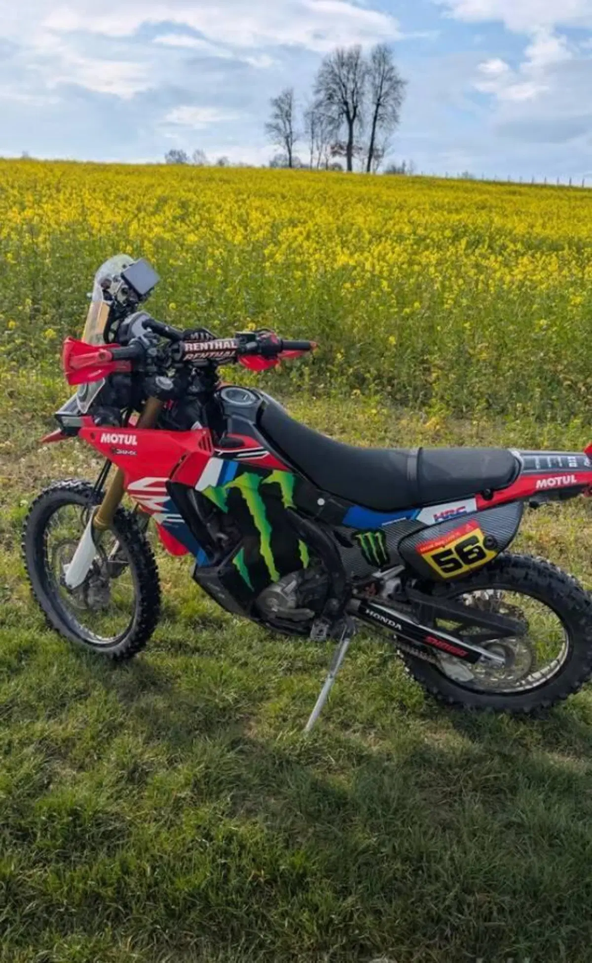 Honda CRF 250 Rally (2017 - 20) (4)
