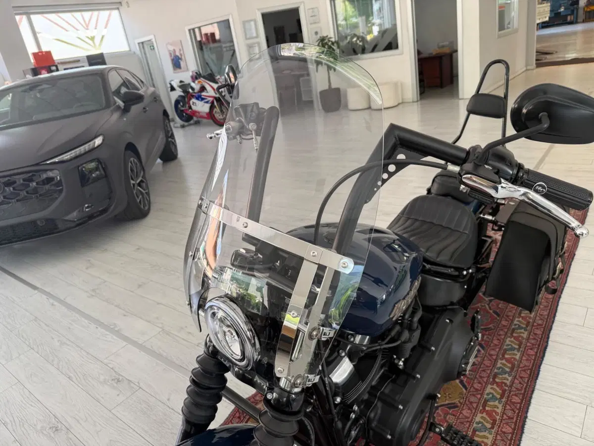 Harley-Davidson 107 Street Bob (2018 - 20) - FXBB (10)
