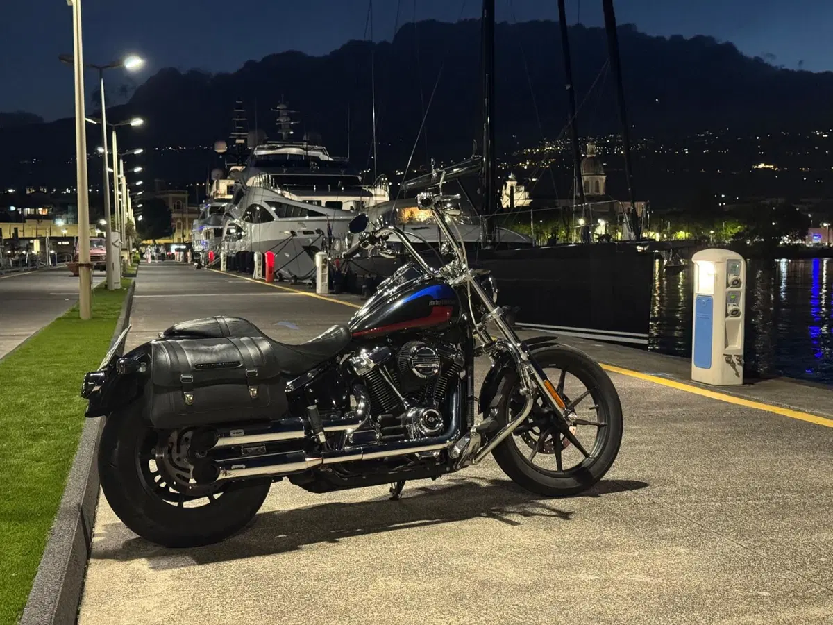 Harley-Davidson 107 Low Rider (2018 - 20) - FXLR (2)
