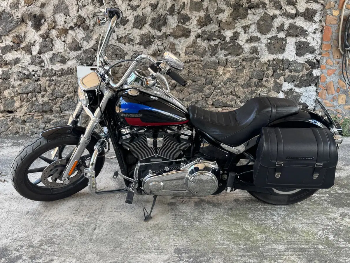 Harley-Davidson 107 Low Rider (2018 - 20) - FXLR (4)